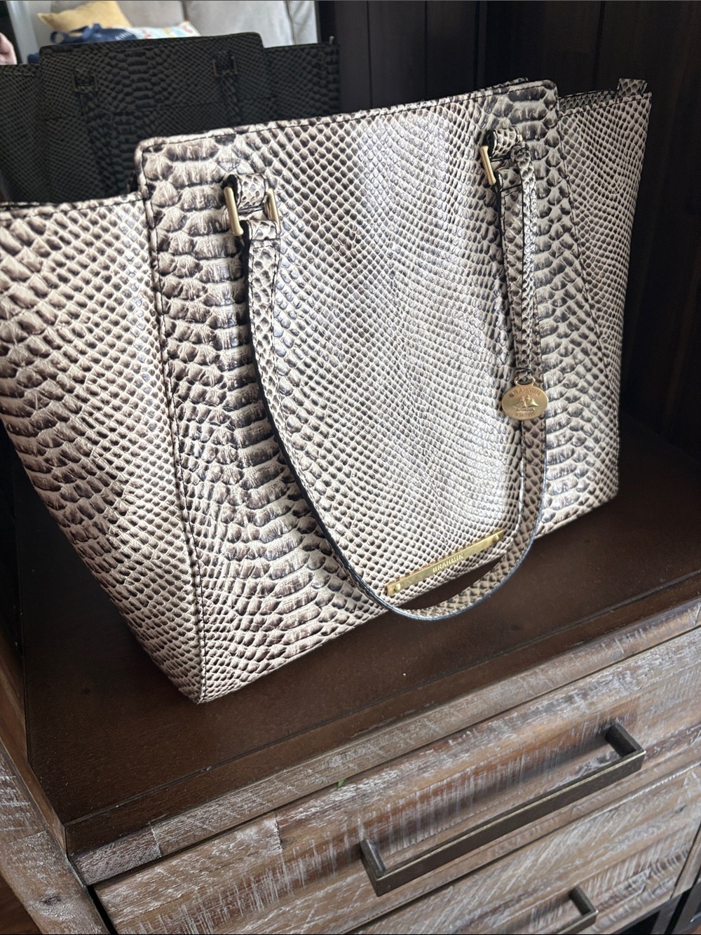 ❤️❤️ Brahmin Snake-Embossed Tote in Cream and Dark Brown - Picture 2 of 14